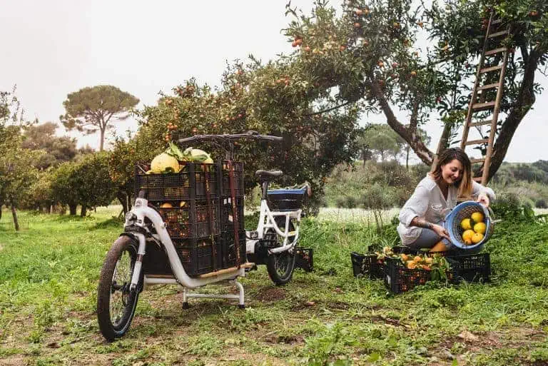 Yuba Supercargo Bosch